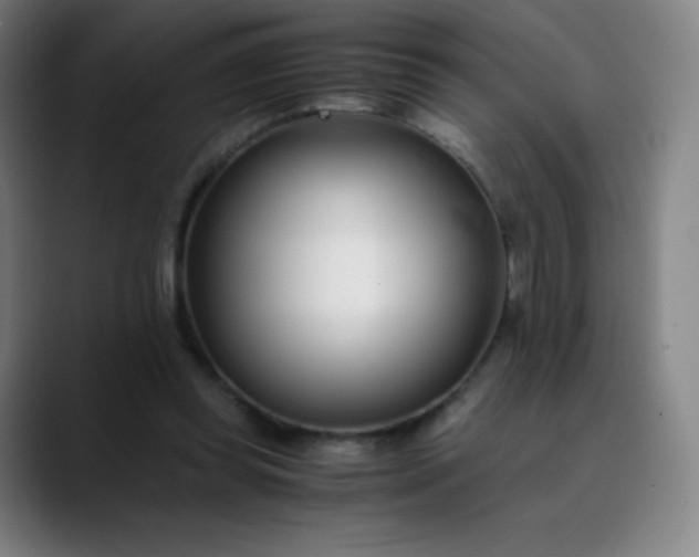 X0000089870349200707121758