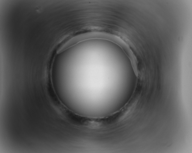 X0000089870352200707121758