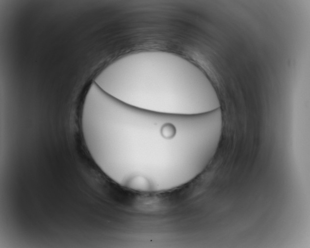 X0000089870354200707121758