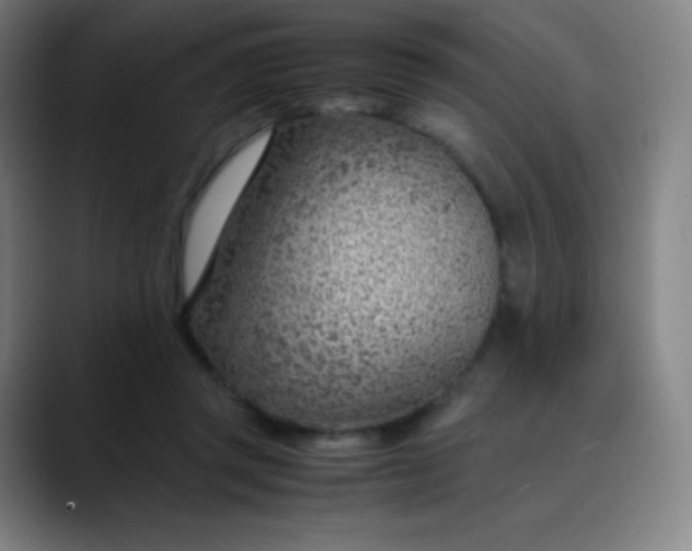 X0000089870357200707121758