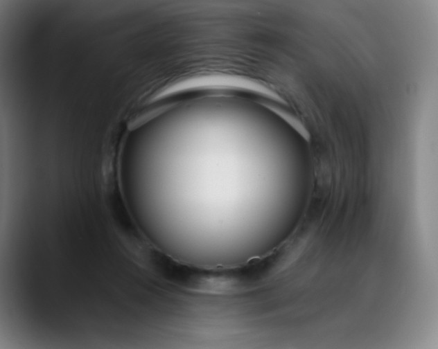 X0000089870360200707121758