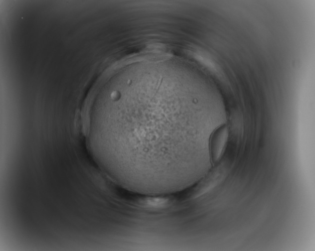 X0000089870361200707121758