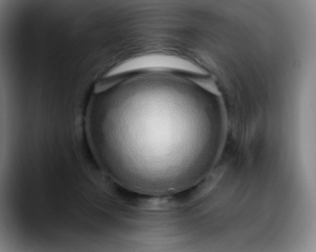 X0000089870366200707121758