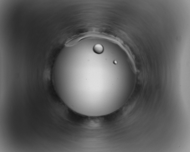 X0000089870368200707121758