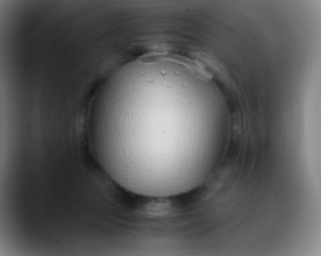 X0000089870369200707121758