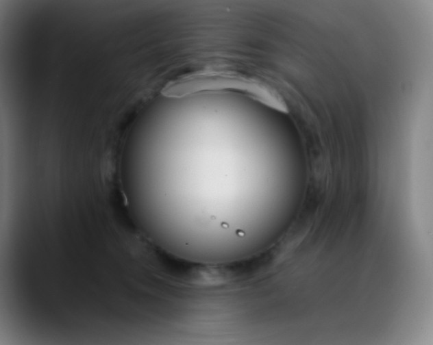 X0000089870372200707121758