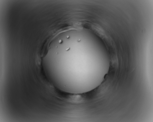 X0000089870374200707121758