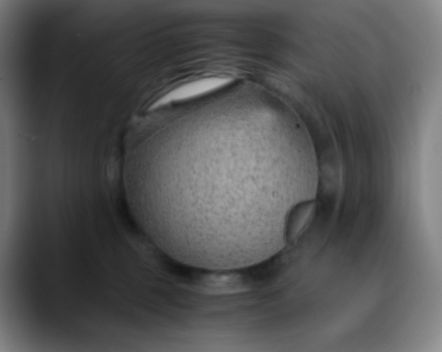 X0000089870375200707121758