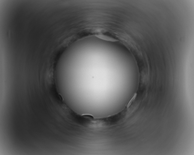 X0000089870376200707121758