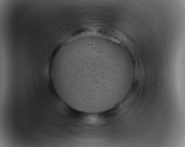 X0000089870377200707121758