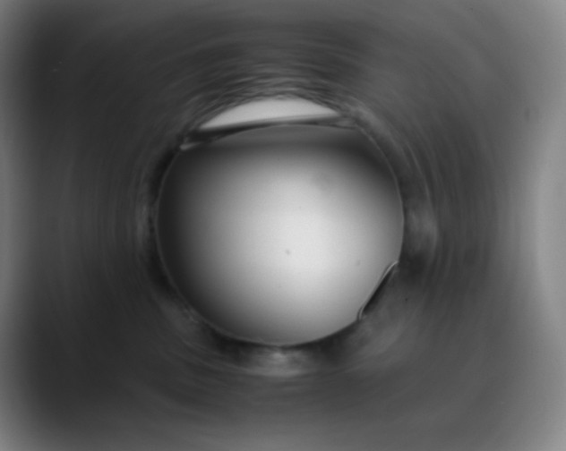 X0000089870379200707121758