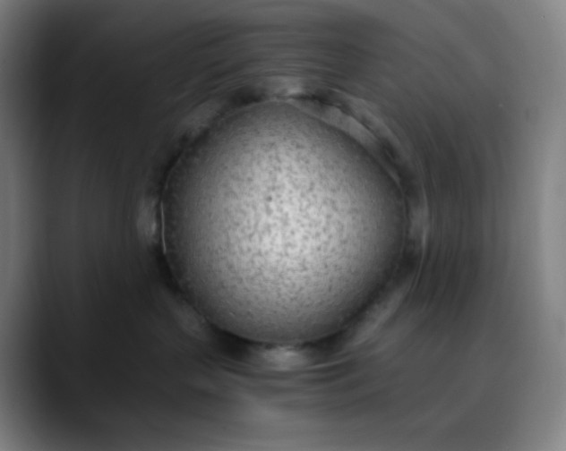 X0000089870383200707121758