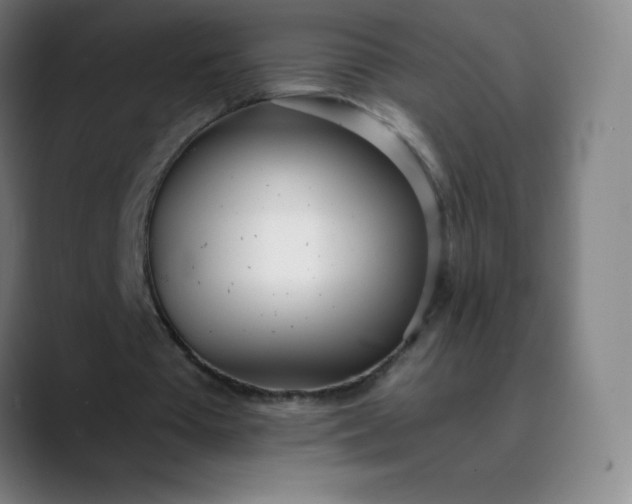 X0000089870385200707121758