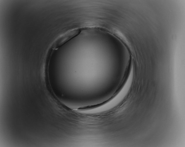 X0000089870387200707121758