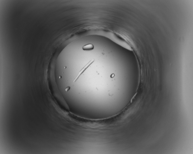 X0000089870389200707121758