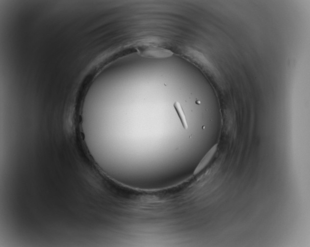 X0000089870392200707121758