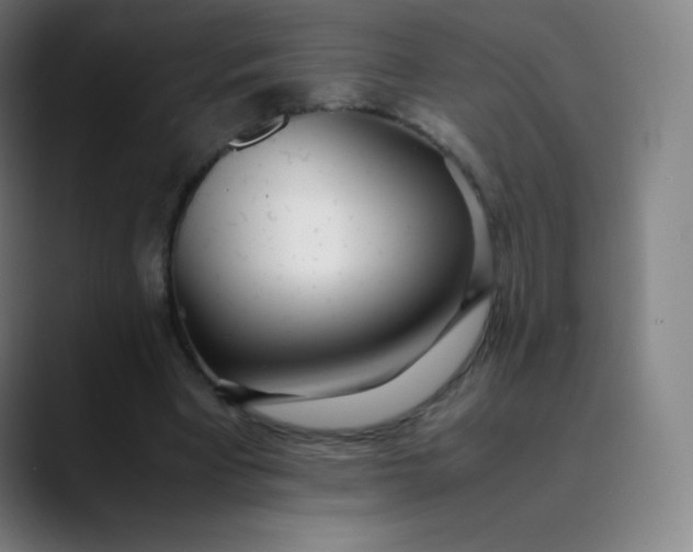 X0000089870393200707121758