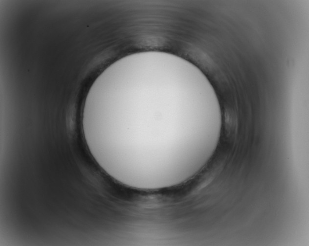 X0000089870396200707121758