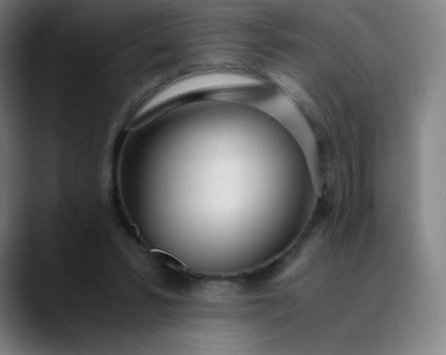 X0000089870399200707121758