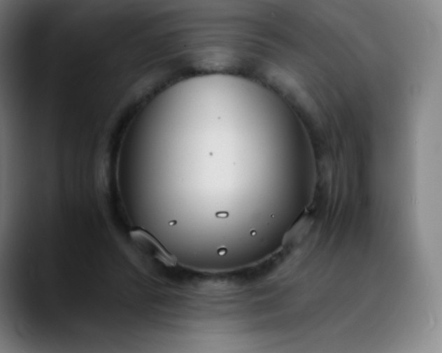 X0000089870400200707121758