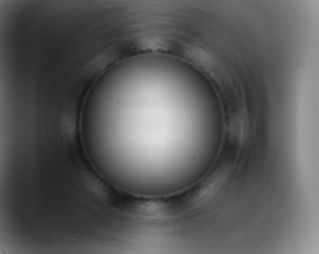 X0000089870402200707121758