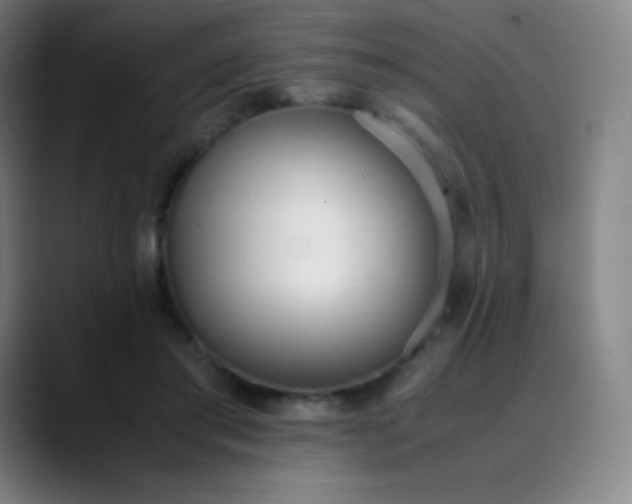 X0000089870405200707121758