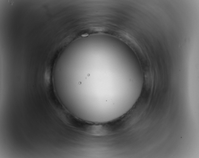 X0000089870406200707121758