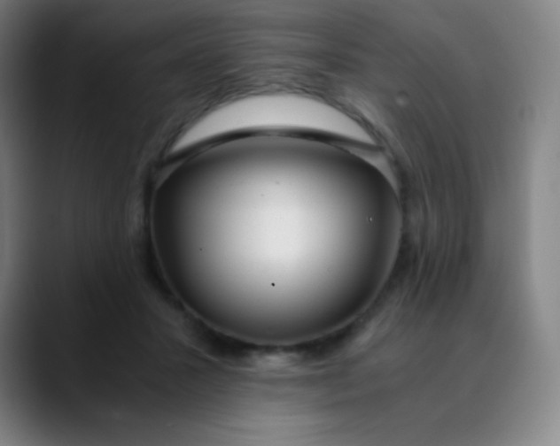 X0000089870407200707121758