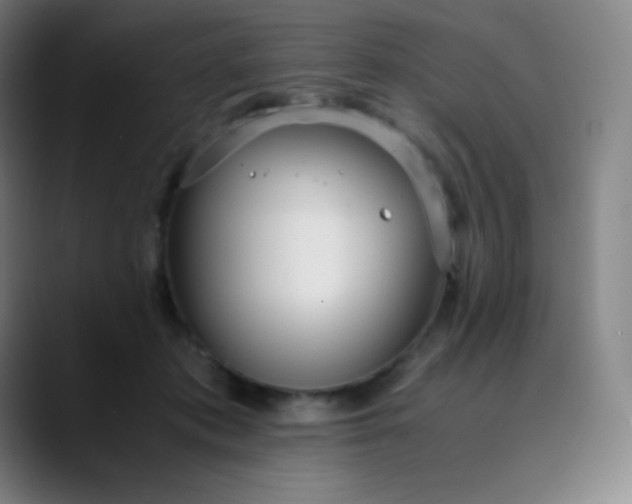 X0000089870413200707121758