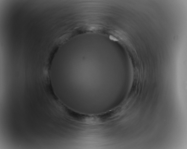 X0000089870415200707121758