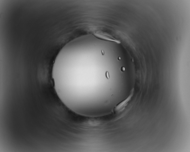 X0000089870416200707121758