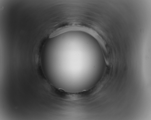 X0000089870417200707121758