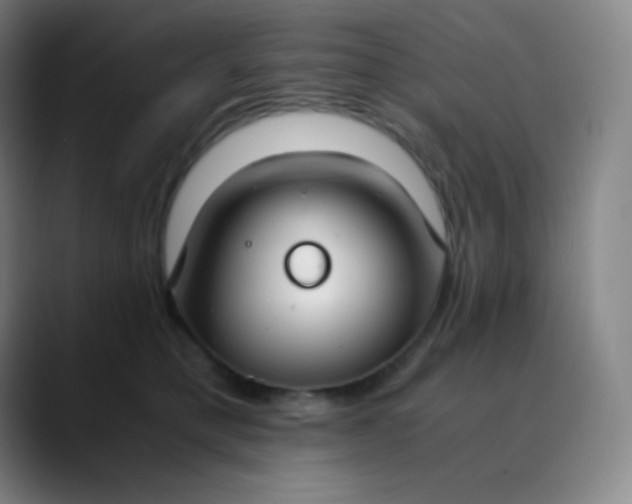 X0000089870421200707121757