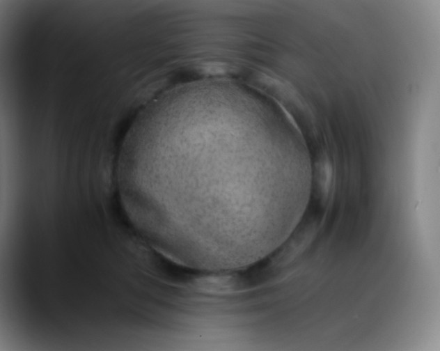 X0000089870422200707121757