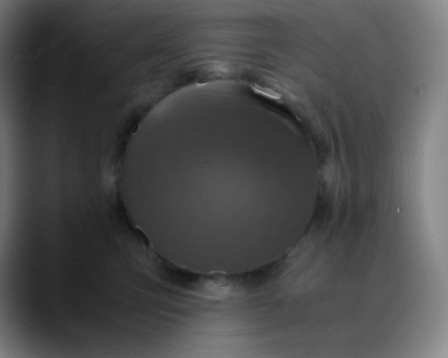 X0000089870423200707121757