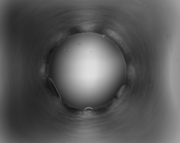 X0000089870428200707121757