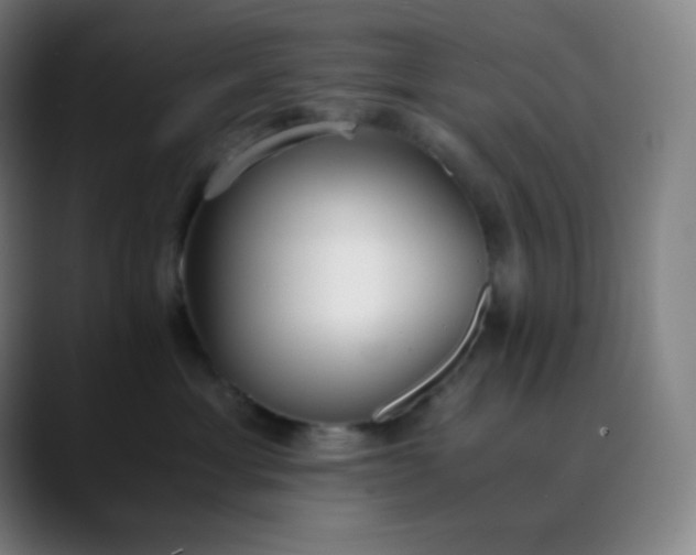 X0000089870429200707121757