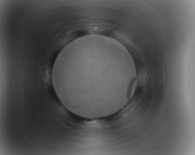 X0000089870430200707121757