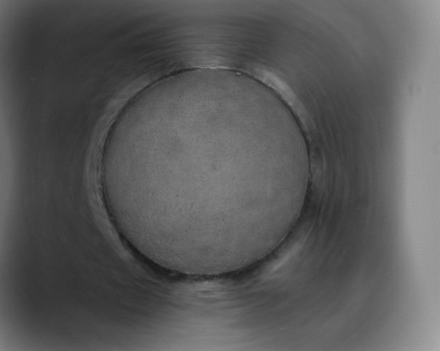 X0000089870433200707121757