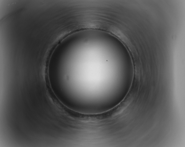 X0000089870434200707121757