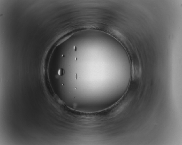 X0000089870435200707121757