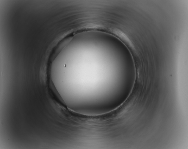 X0000089870436200707121757