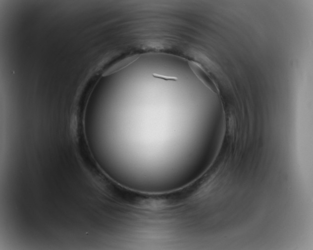 X0000089870444200707121757