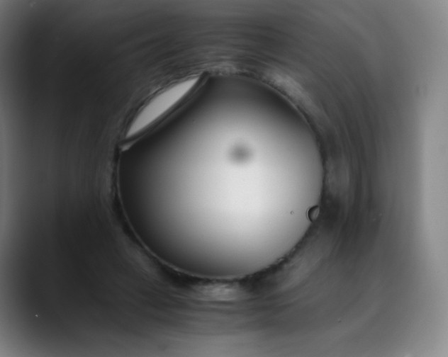 X0000089870449200707121757