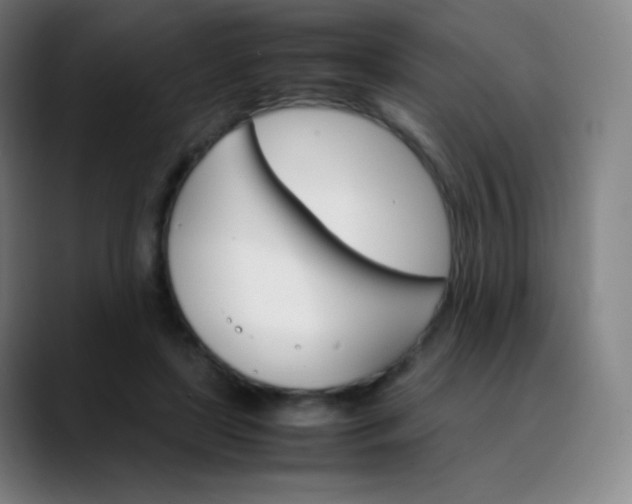 X0000089870451200707121757