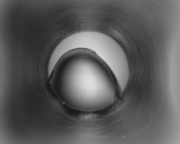X0000089870452200707121757