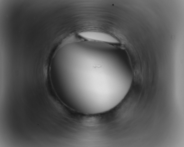 X0000089870454200707121757