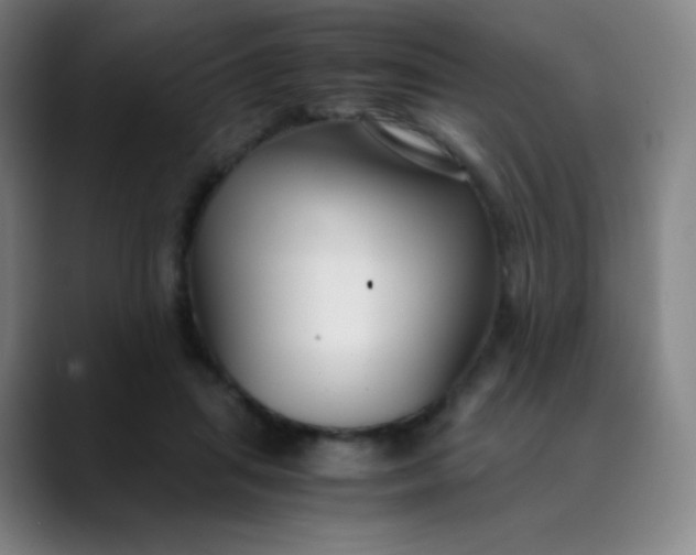 X0000089870455200707121757