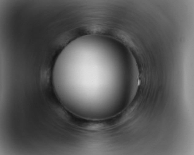 X0000089870458200707121757