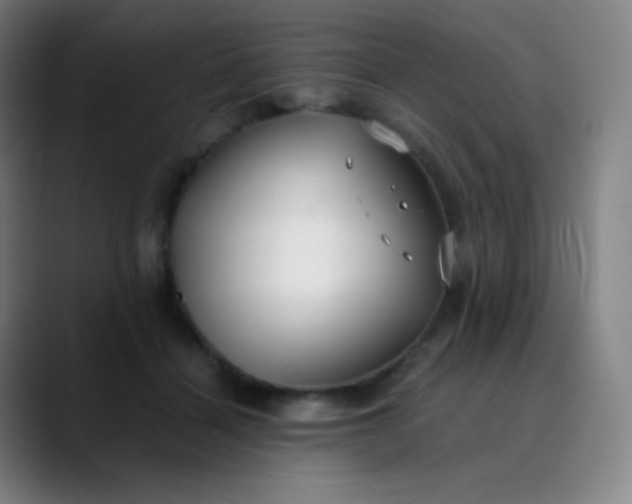 X0000089870460200707121757